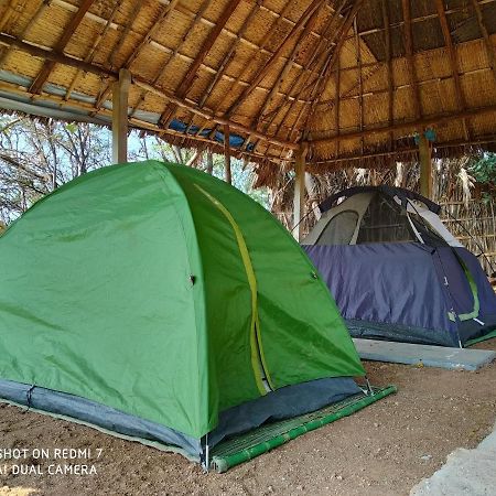 ホテルDrunken Monkey Camping Site ハンピ エクステリア 写真