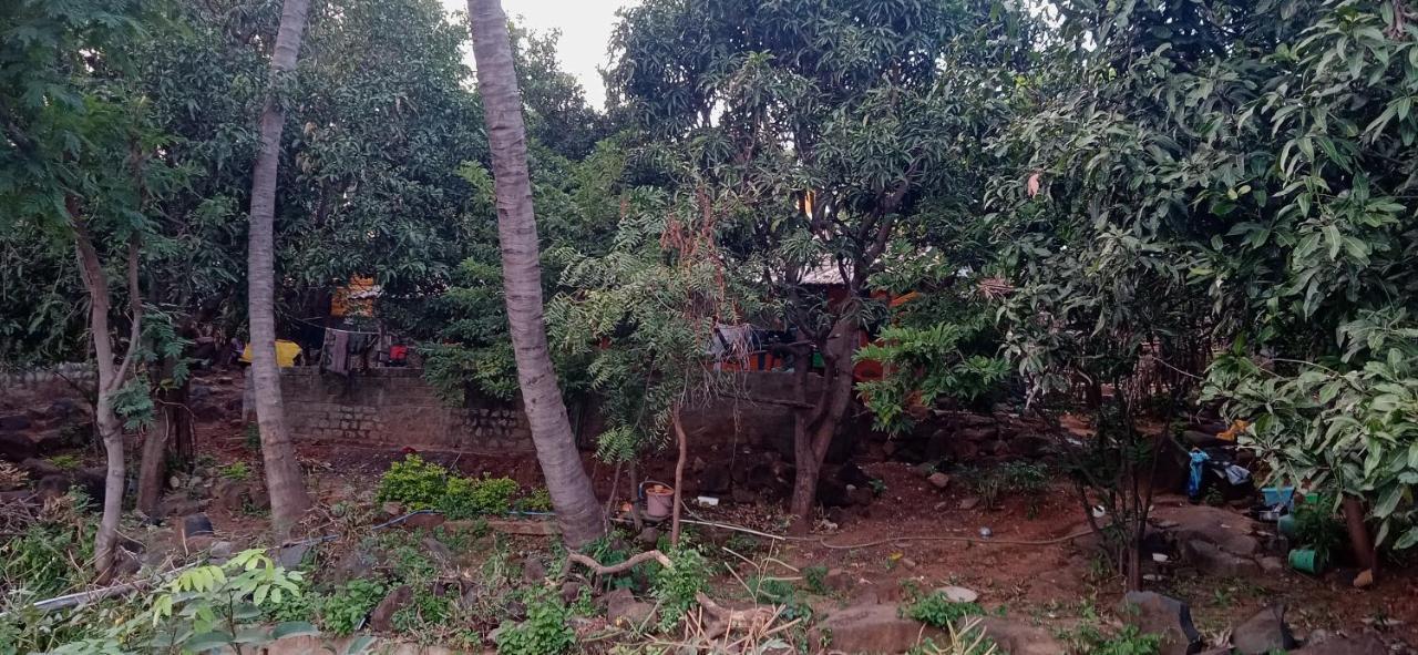 ホテルDrunken Monkey Camping Site ハンピ エクステリア 写真