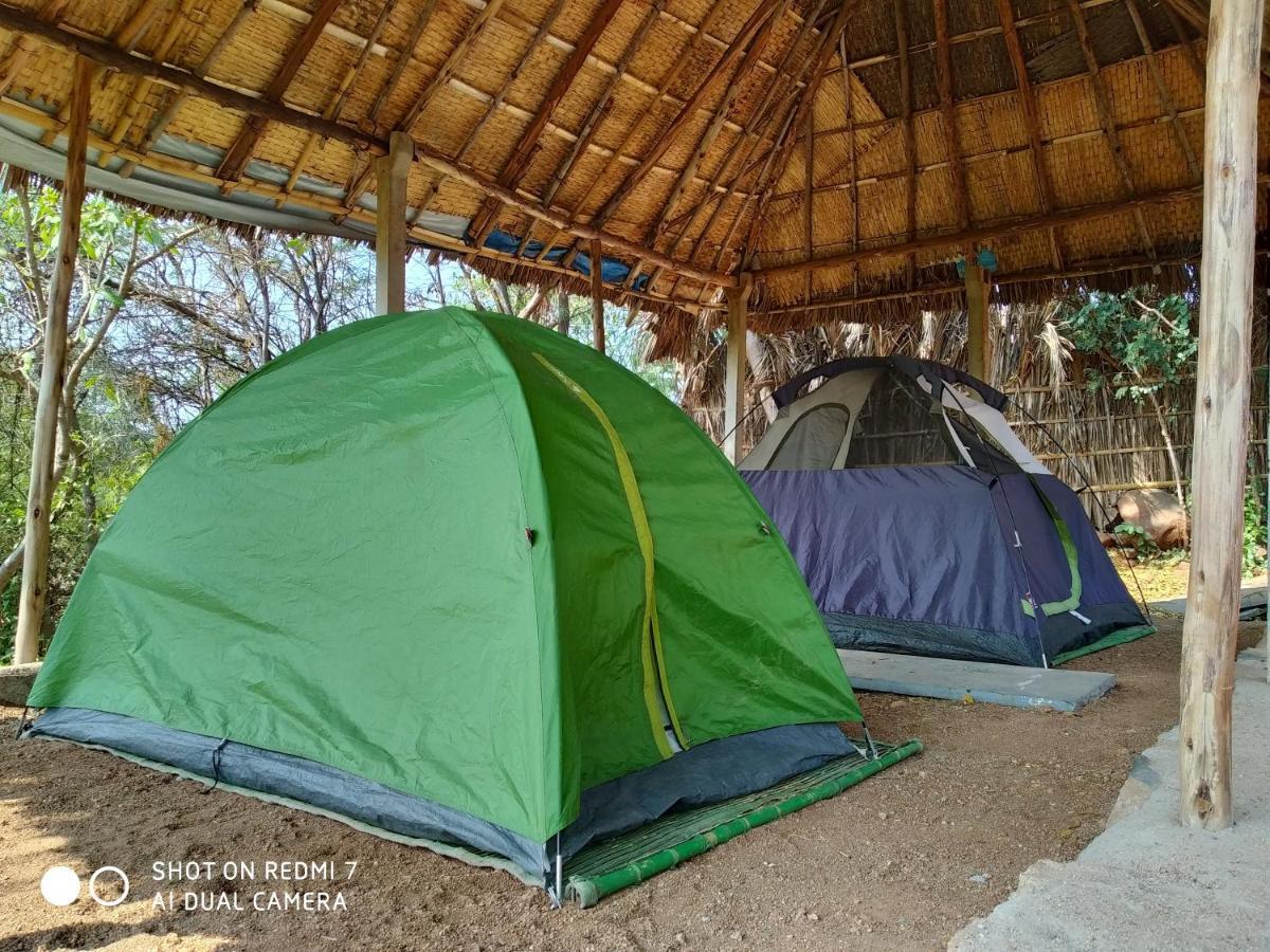 ホテルDrunken Monkey Camping Site ハンピ エクステリア 写真