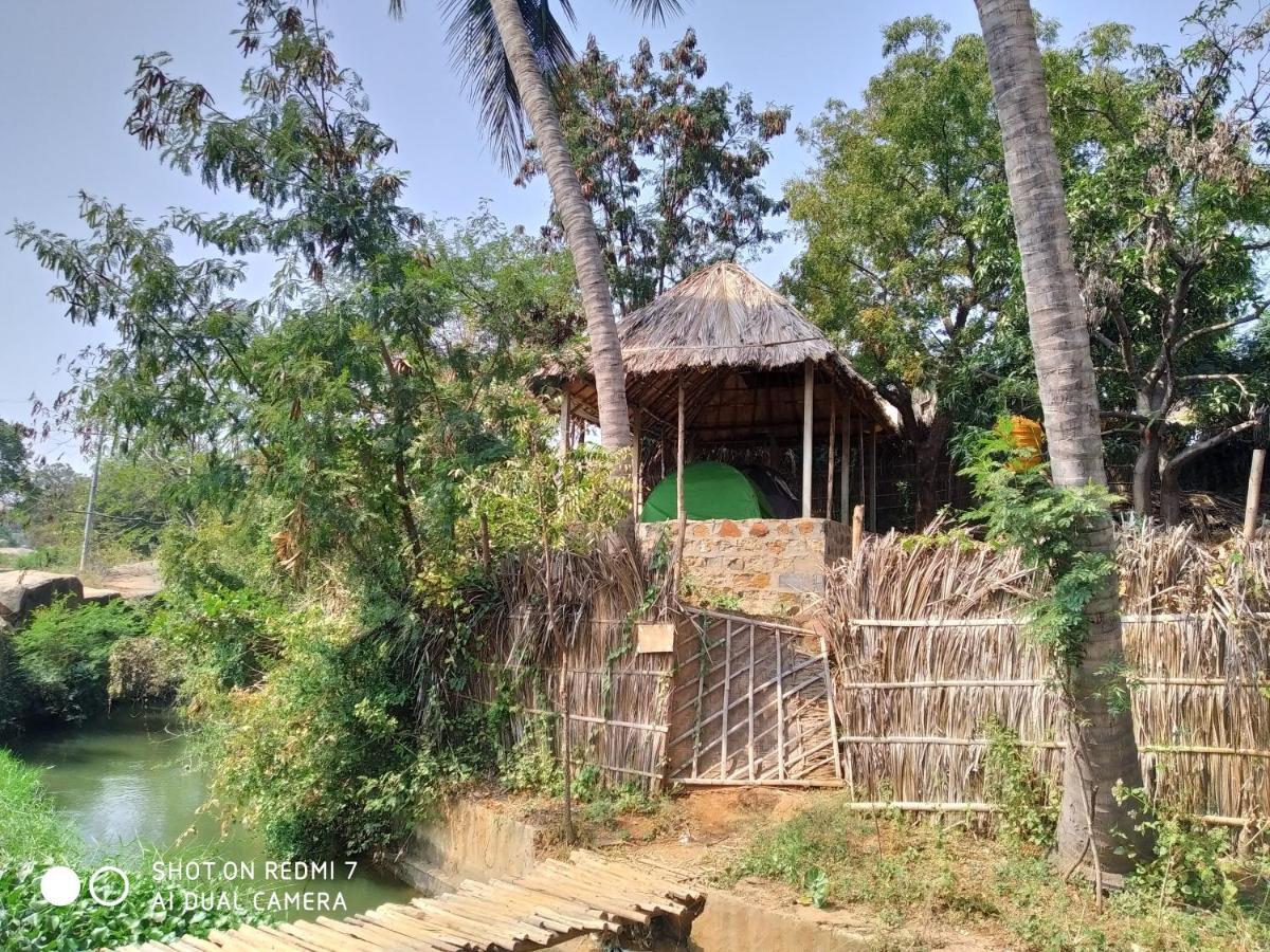 ホテルDrunken Monkey Camping Site ハンピ エクステリア 写真