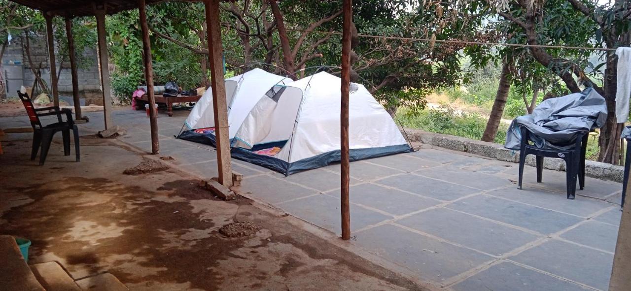 ホテルDrunken Monkey Camping Site ハンピ エクステリア 写真