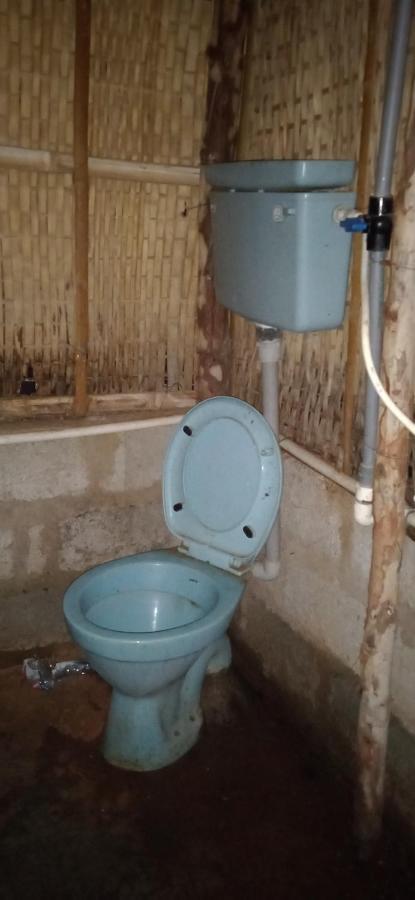 ホテルDrunken Monkey Camping Site ハンピ エクステリア 写真